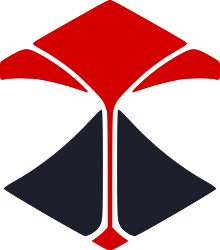 Volcanica logo